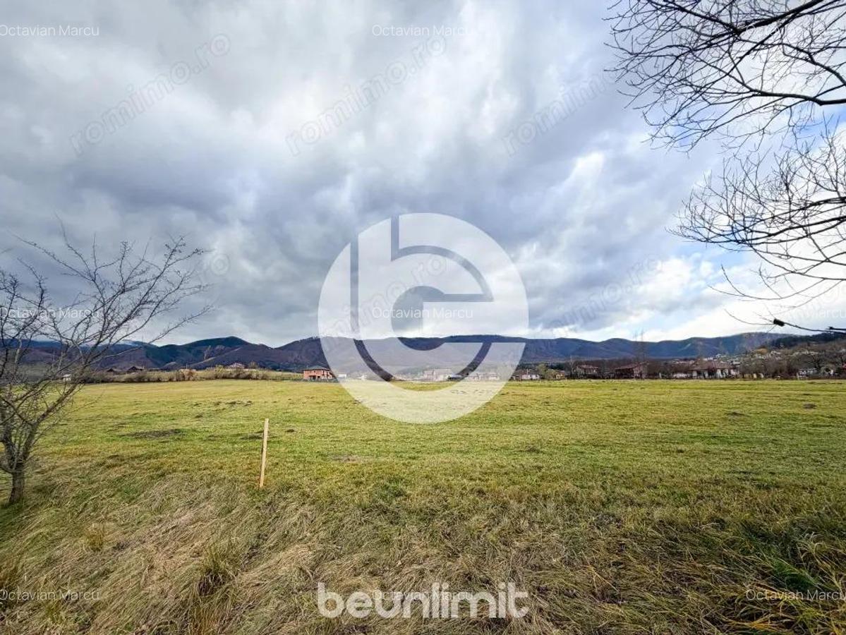 Teren intravilan in Tocile - 4354 m2 - 2 fronturi - oferta competitiva - 6