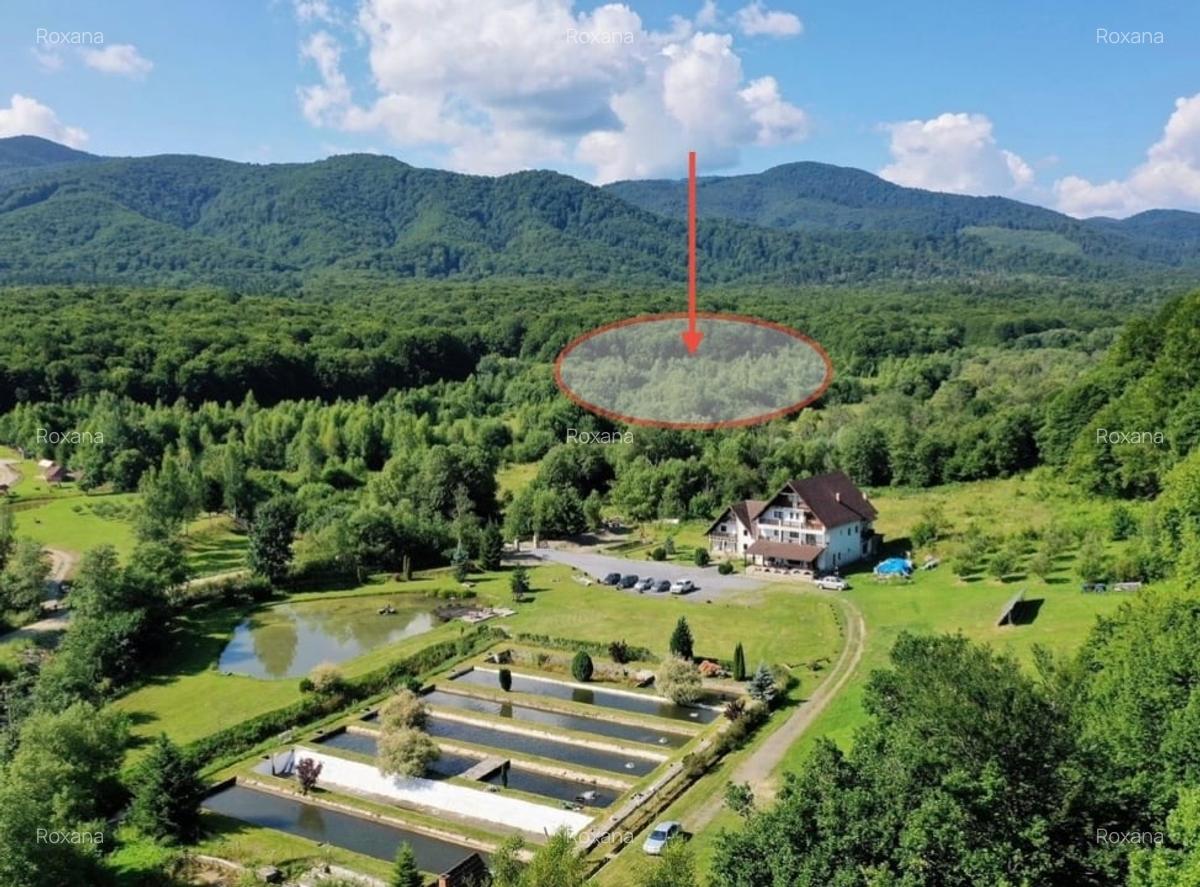 Teren de vânzare/ oportunitate de investiție/Valea Strâmbei/jud.Brașov - 1