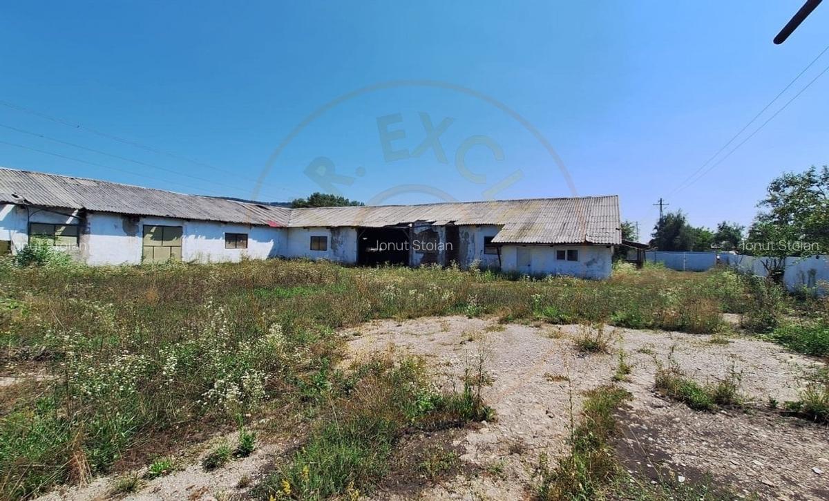 Proprietate industriala de vanzare - Hartiesti, jud. Arges - 6