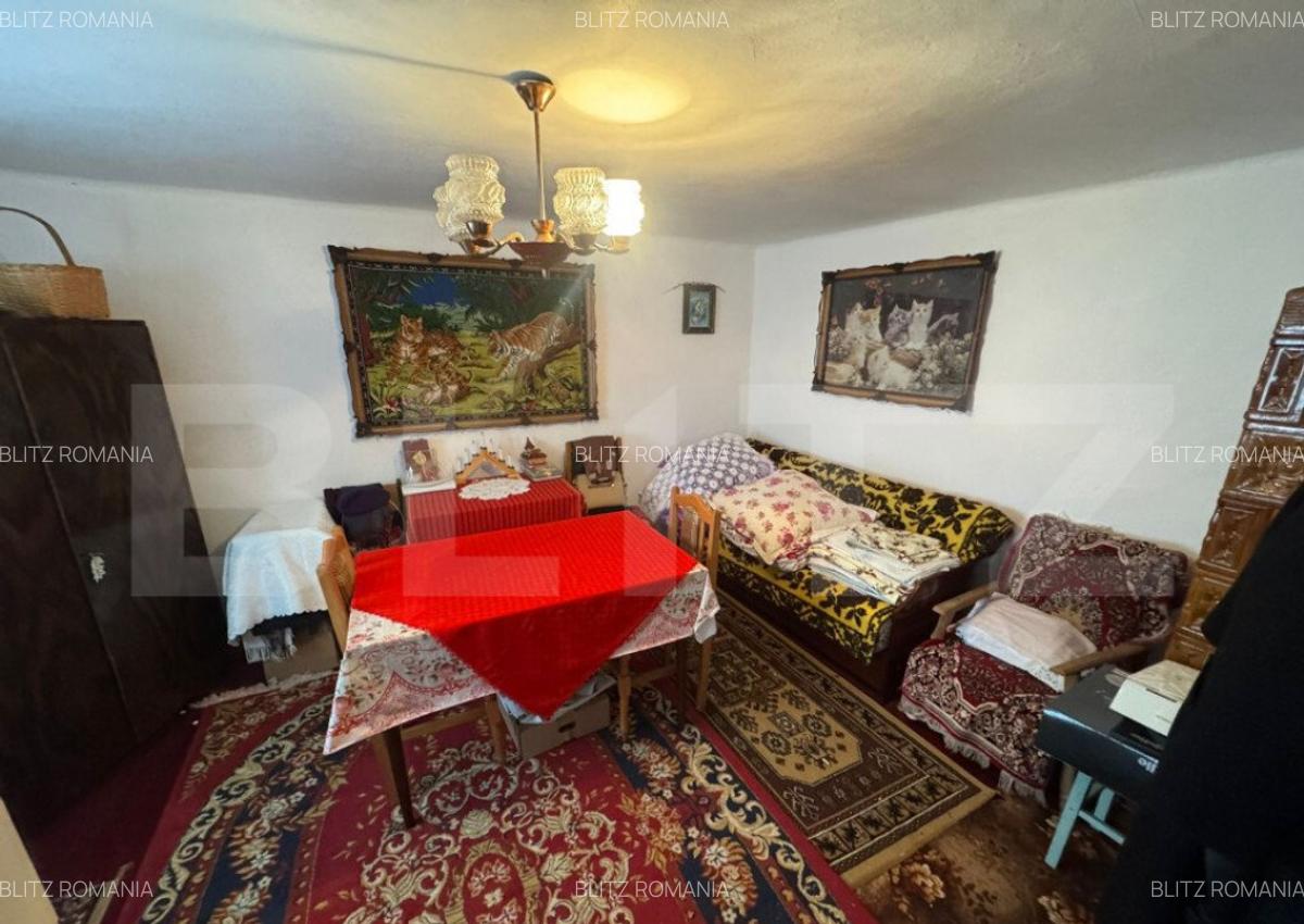 Casa individuala, Panaci, 4 camere, 65 mp - 10
