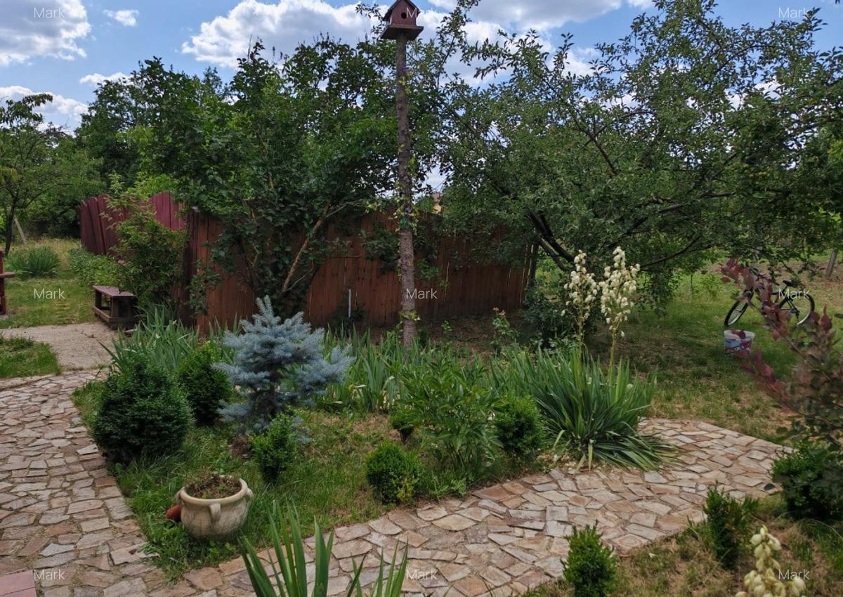 Casa din lemn/Vila la tara/Hotarele Giurgiu/livada/2150mp - 5
