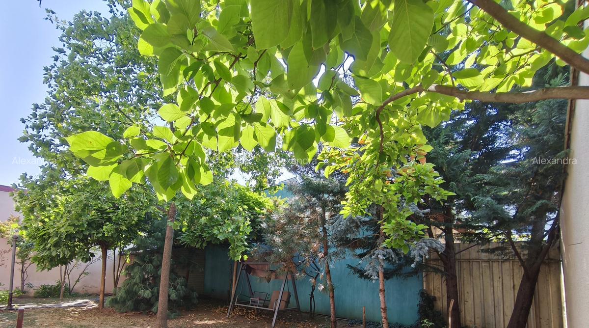 Vila noua, teren de aproape 800 mp, zona de case - 10