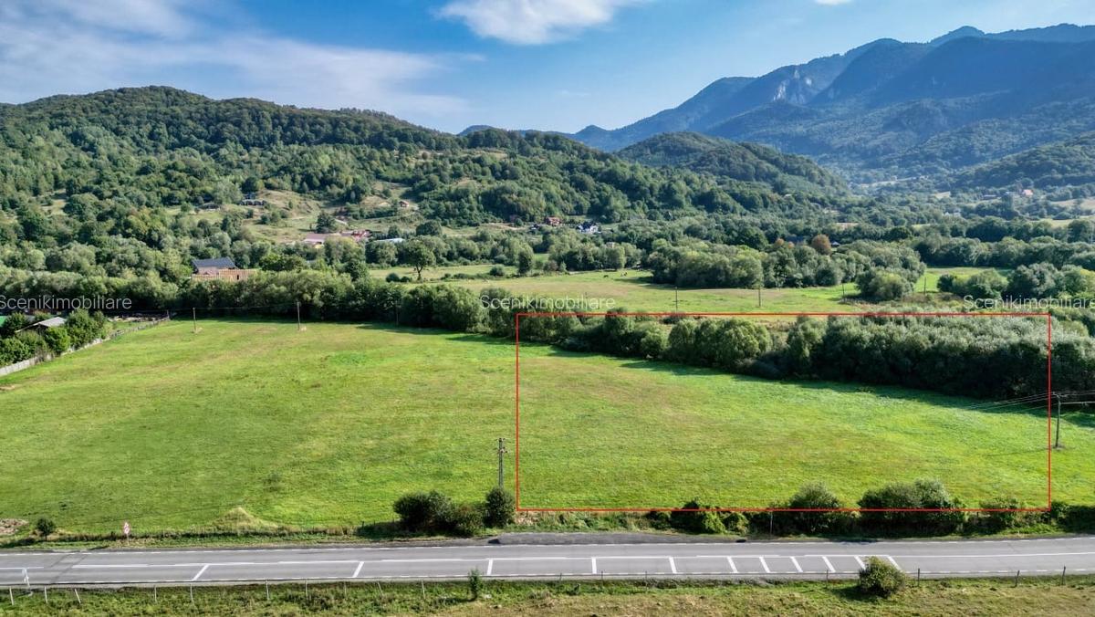 Cheile Rasnoavei DN73A, teren extravilan 3.000 mp, zona de vis, ideal investitie - 5