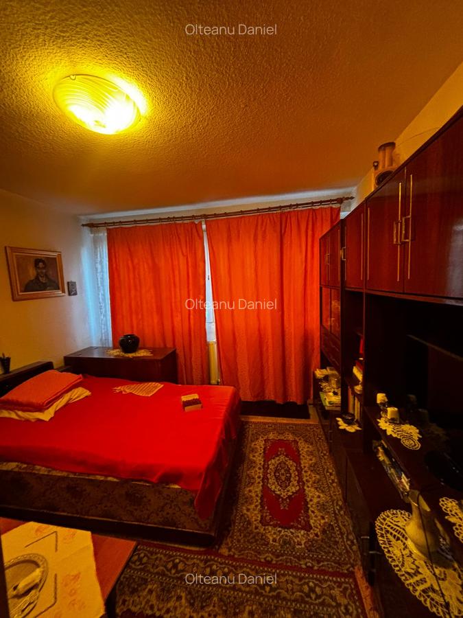 GIURGIULUI DRUMUL GAZARULUI - 8