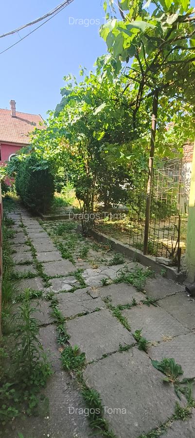 Apartament Piata Traian - 14