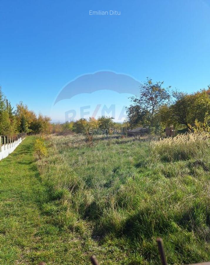 Teren intravilan 1,450mp Ilisesti / DN 17-Suceava - 15