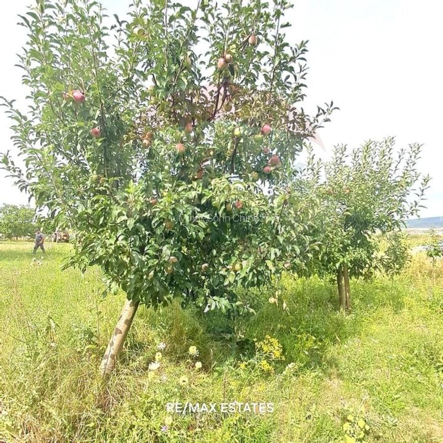 Proprietate speciala de 3,100 mp de vanzare in Maierus - 21