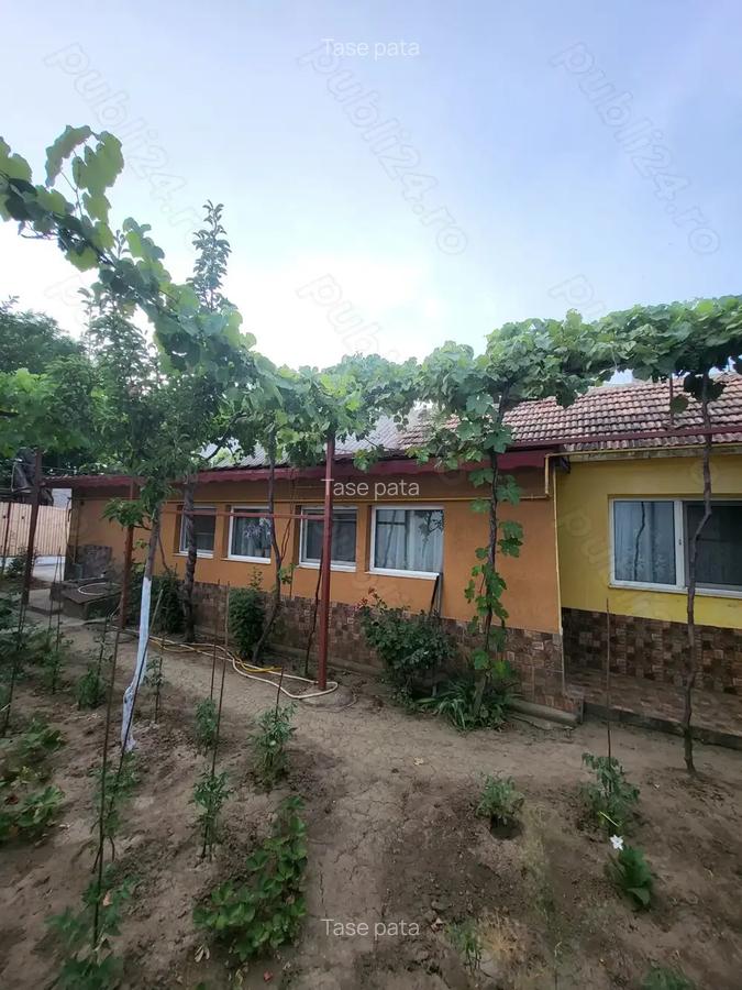 VAND casa Zona Coiciu - 4