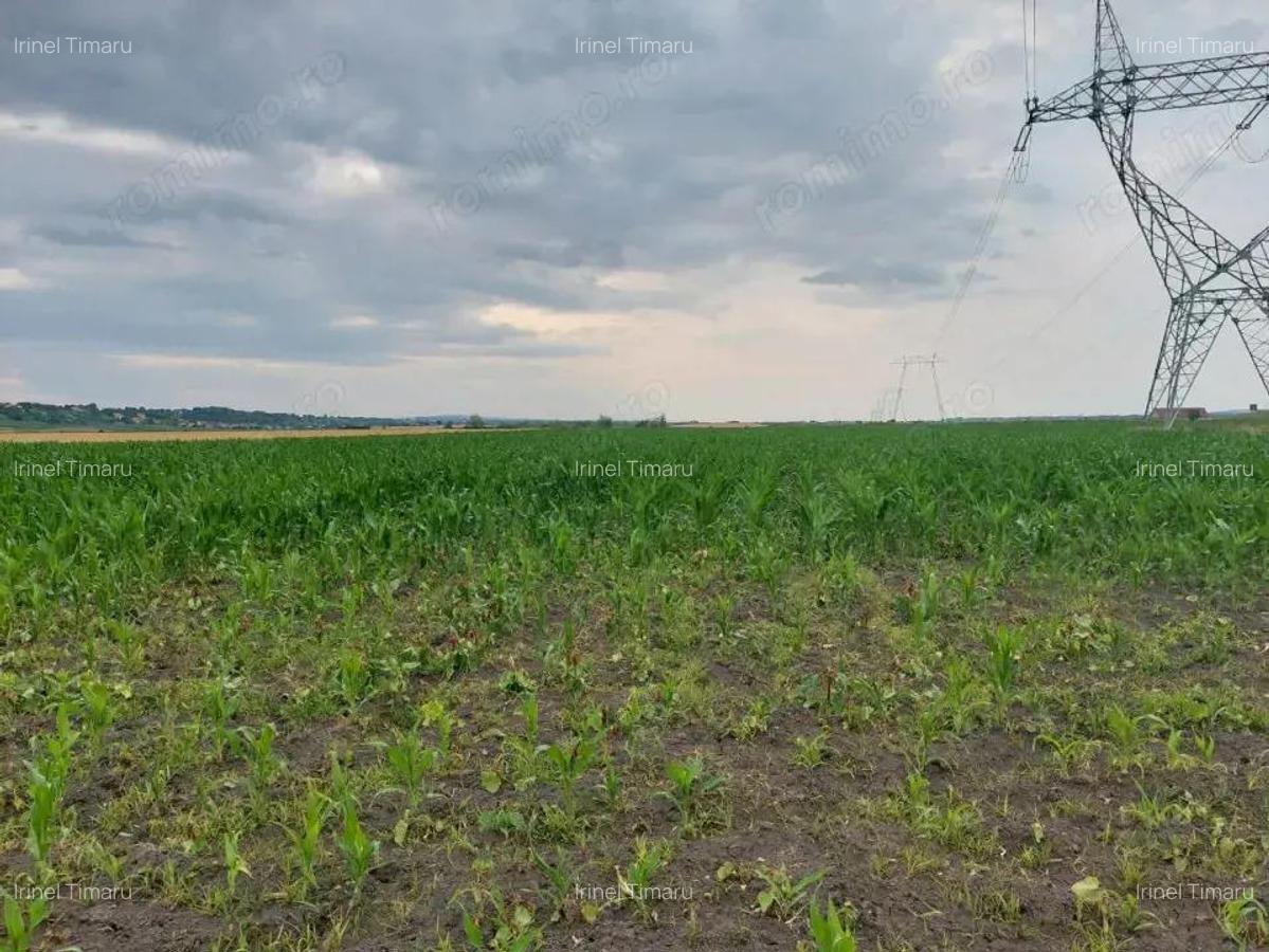 Oportunitate de Investitie!!! - 6