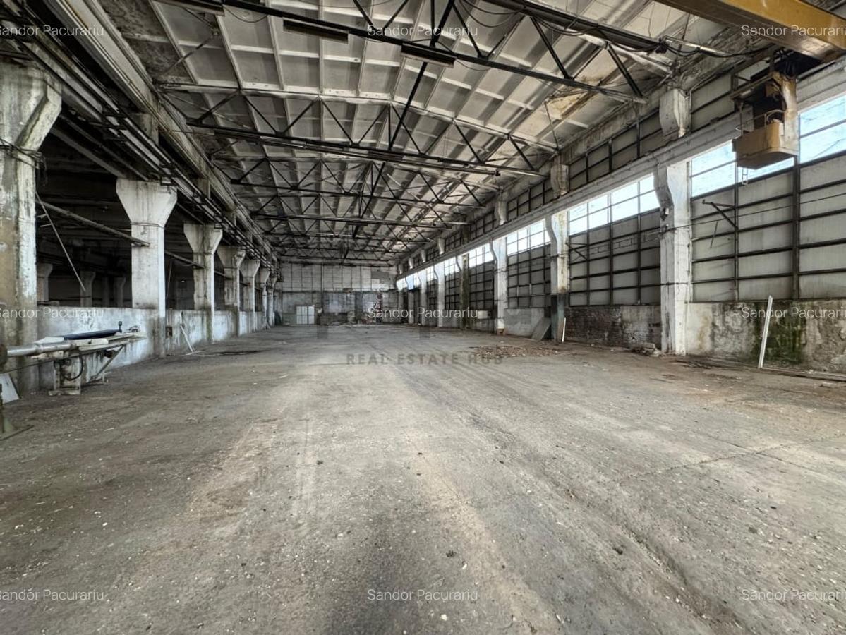 Spațiu industrial, 240 mp în Sud - 8