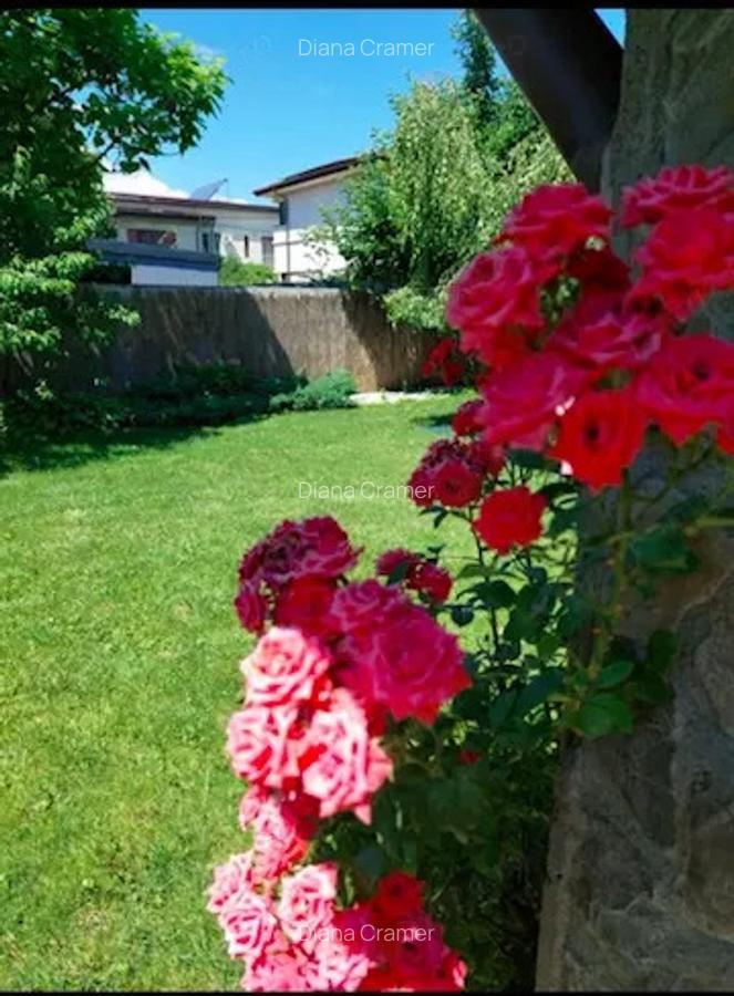 Vila duplex de vanzare in Corbeanca - 2