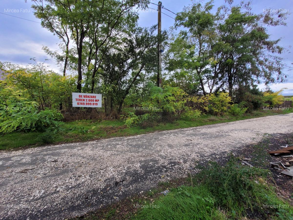Teren intravilan intre case - 2079 mp - Movilita - 11 Teren intravilan intre case - 2079 mp - Movilita - 11