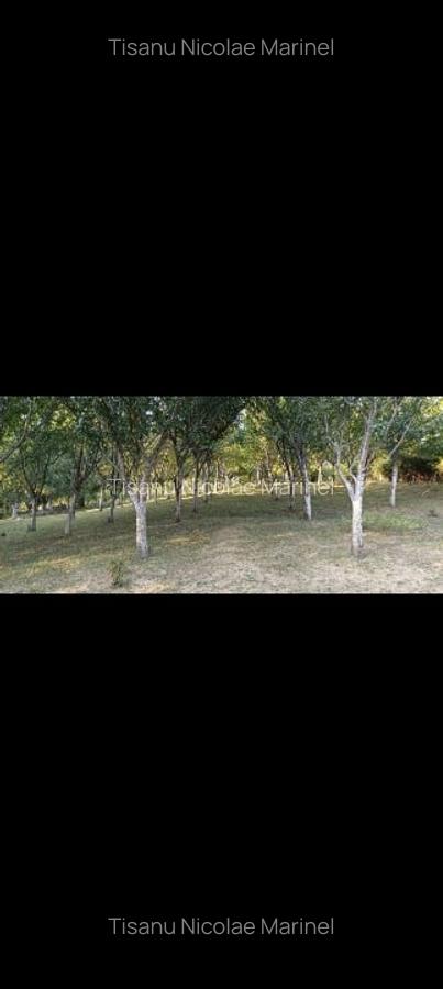 Casă de vânzare situata in Valea  Cheii, Păușești Măglași , Valcea - 7