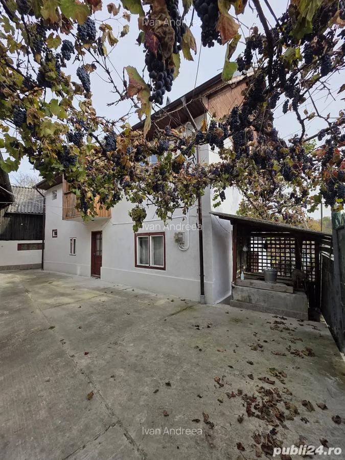 De vanzare ! 2 Case + Livada - 5