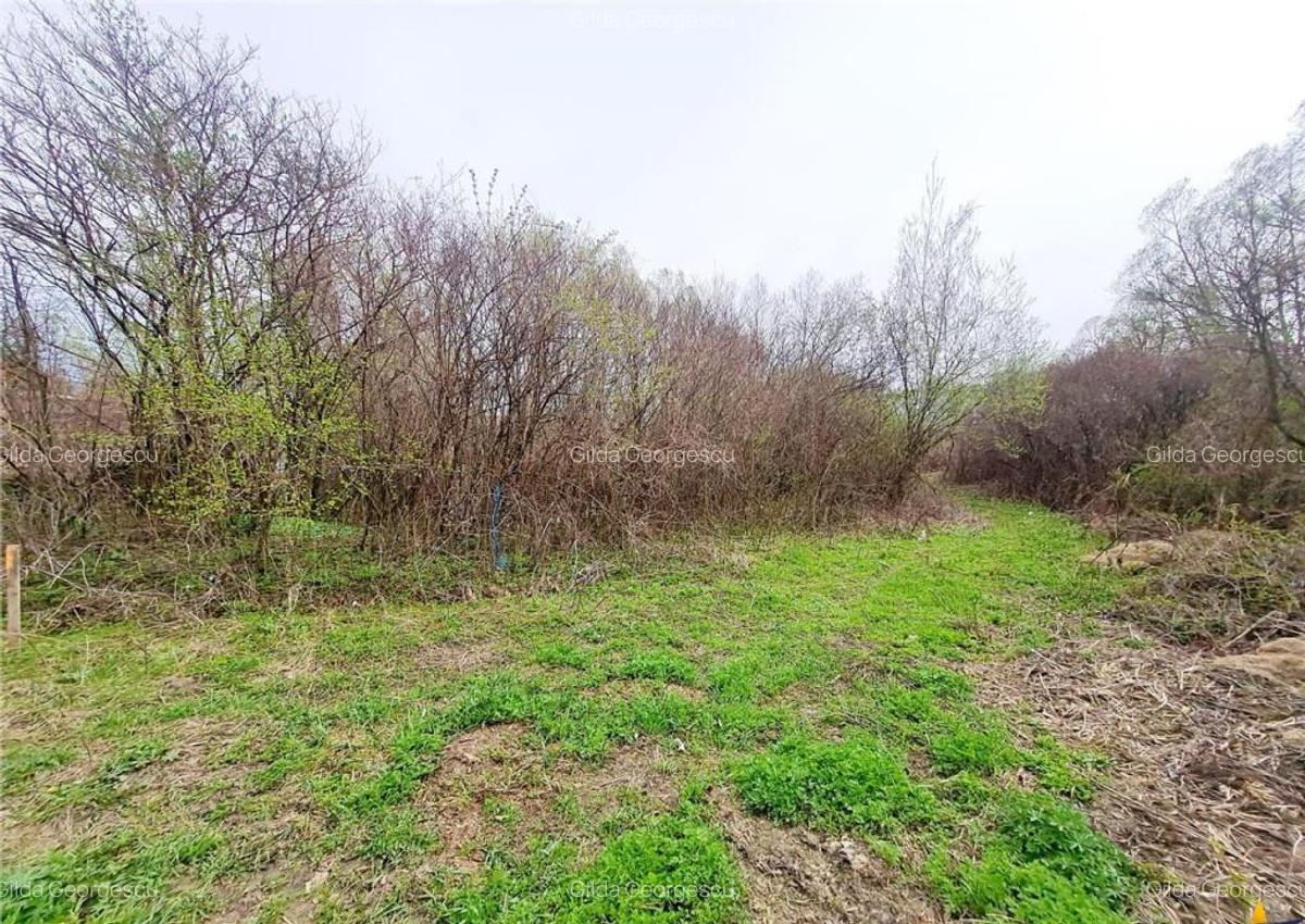 Teren 1.700 mp intravilan, natura, vecinatati bune, potentia - 14