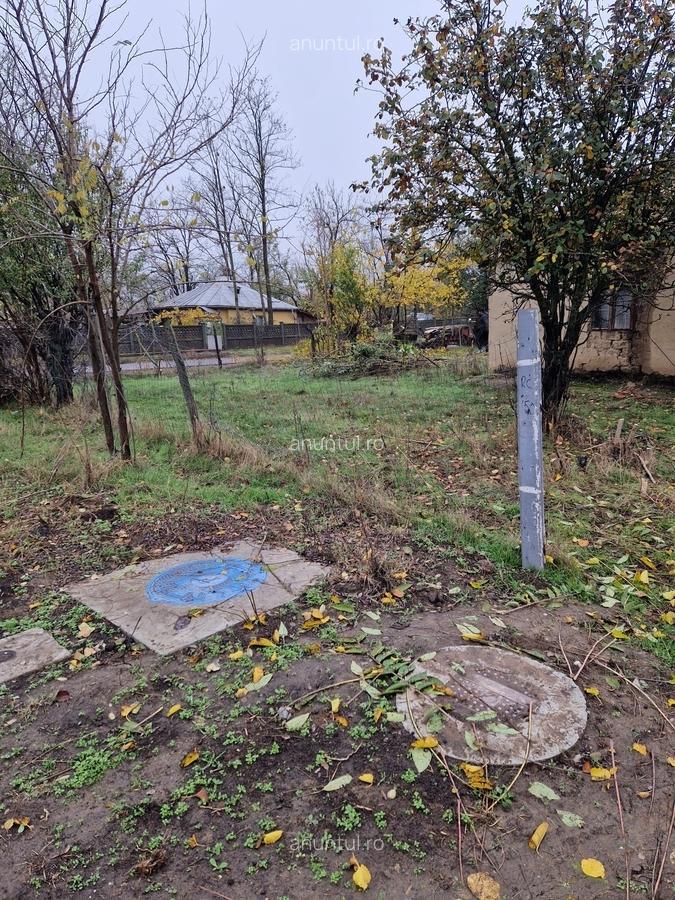 Dor Marunt, Calarasi - 7