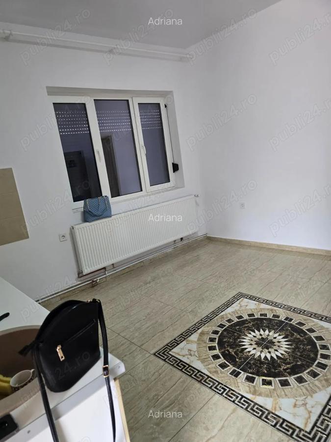Inchiriez casa spa?ioasa 100 mp utili si 280 mp total teren zona Bulevardul Cetatii Blascovici - 2