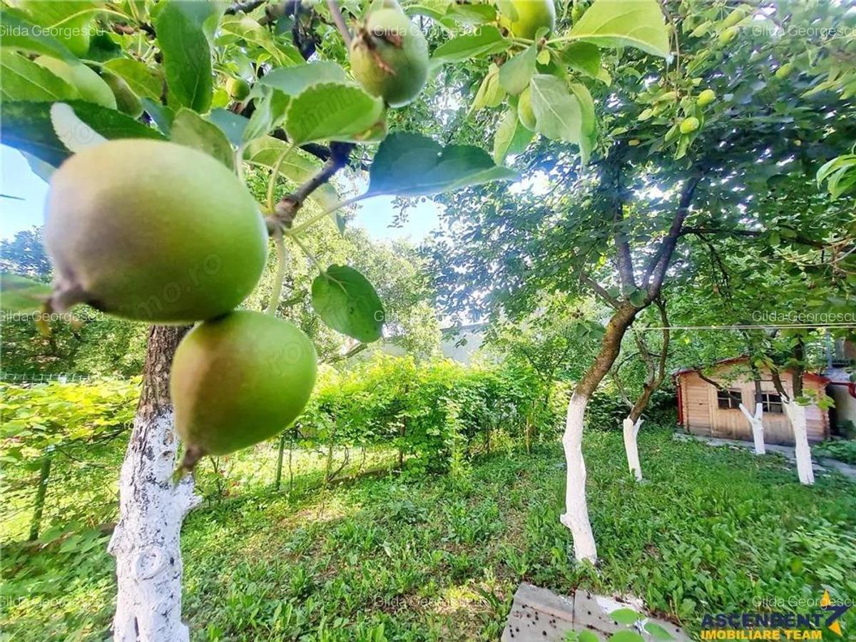 Casa amenajata cu stil, acces auto, curte, terase, zona Star - Centrul Istoric, Brasov - 10
