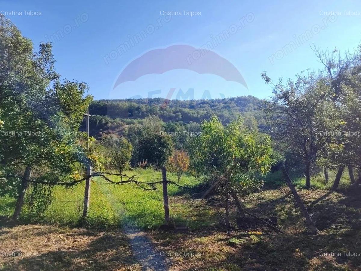 Exclusivitate! Casa cu anexe si teren generos, langa Jibou-Comision 0% - 13