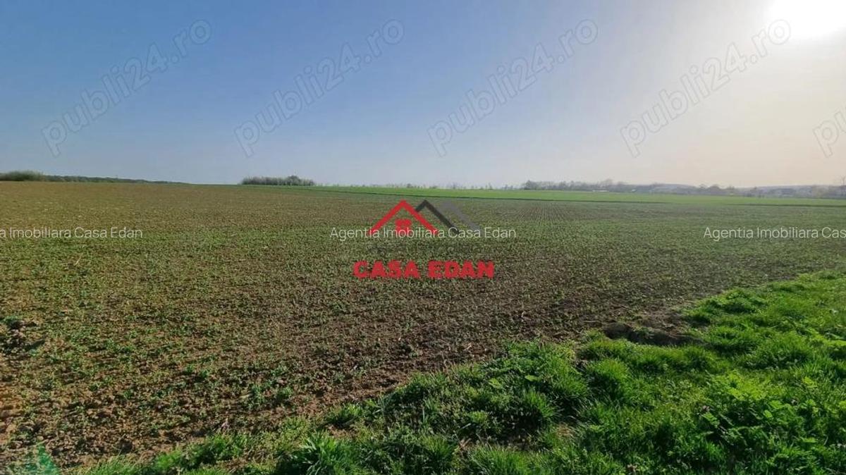 Teren extravilan in Urleta--5000m--18.500e - 1