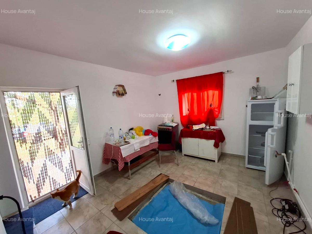 Casa si teren de vanzare Blidari - Cotesti - 10