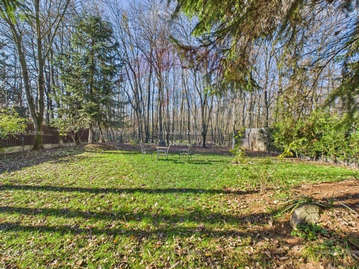 De vanzare | Vila in Paradisul Verde cu gradina si padure proprie | - 21