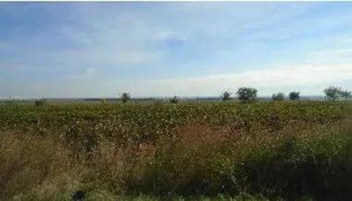 Teren extravilan Obrejita, ID: R2832813 - 7