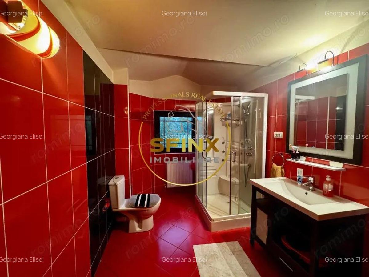 Casa 6 Camere, gradina spectaculoasa, Erou Iancu Nicolae - 14