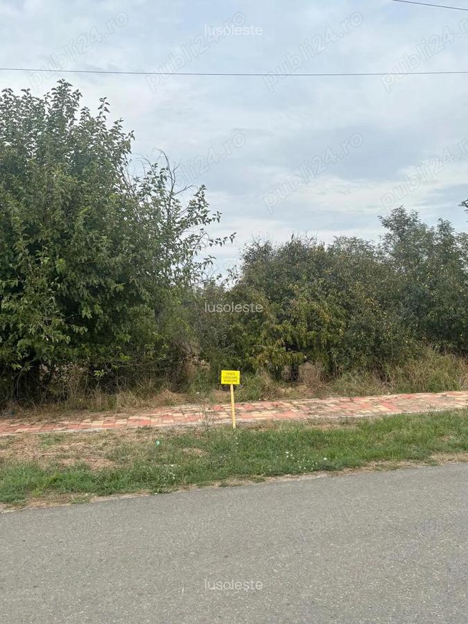 Proprietar vand teren 1439 mp pe strada DEJ, oras Sanicolau Mare - 1