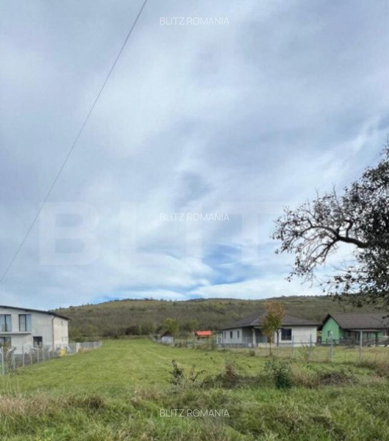 Teren de Vanzare, foarte aproape de Crama Jelna - 4