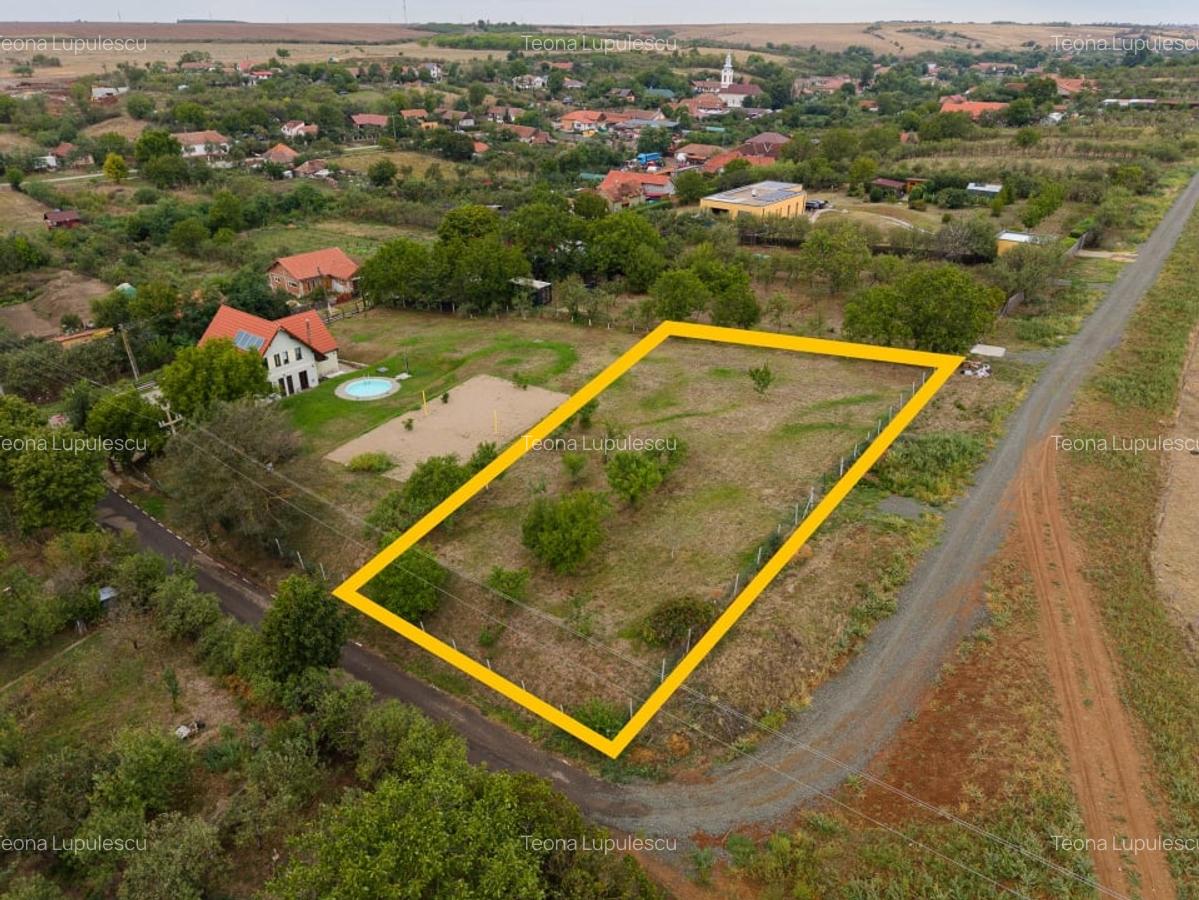 Teren intravilan 1584 mp in Murani - ideal pentru casa sau pensiune - 6