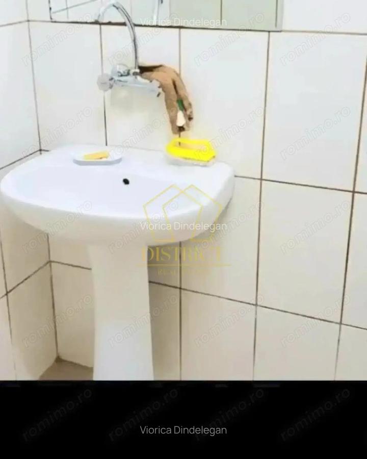 Spatiu Comercial SAD vad bun I Sagului - 7
