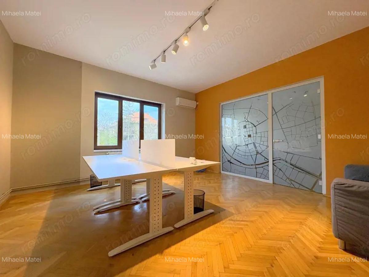 Spatiu birouri zona Centrala - Take Ionescu - 11