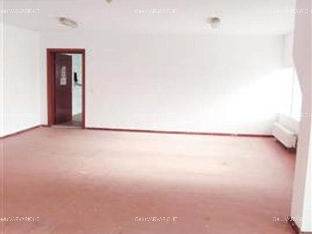 Hale in parcul Roman sau tractorul - 8