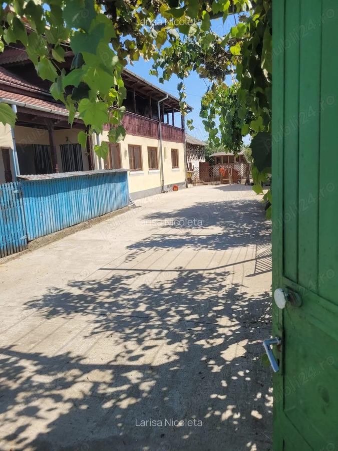 Gospodarie Olanu - 1