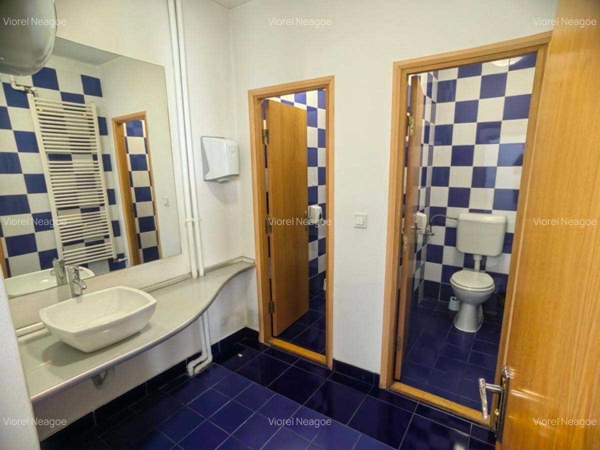 Vila de inchiriat Cismigiu Stirbei Voda - 15