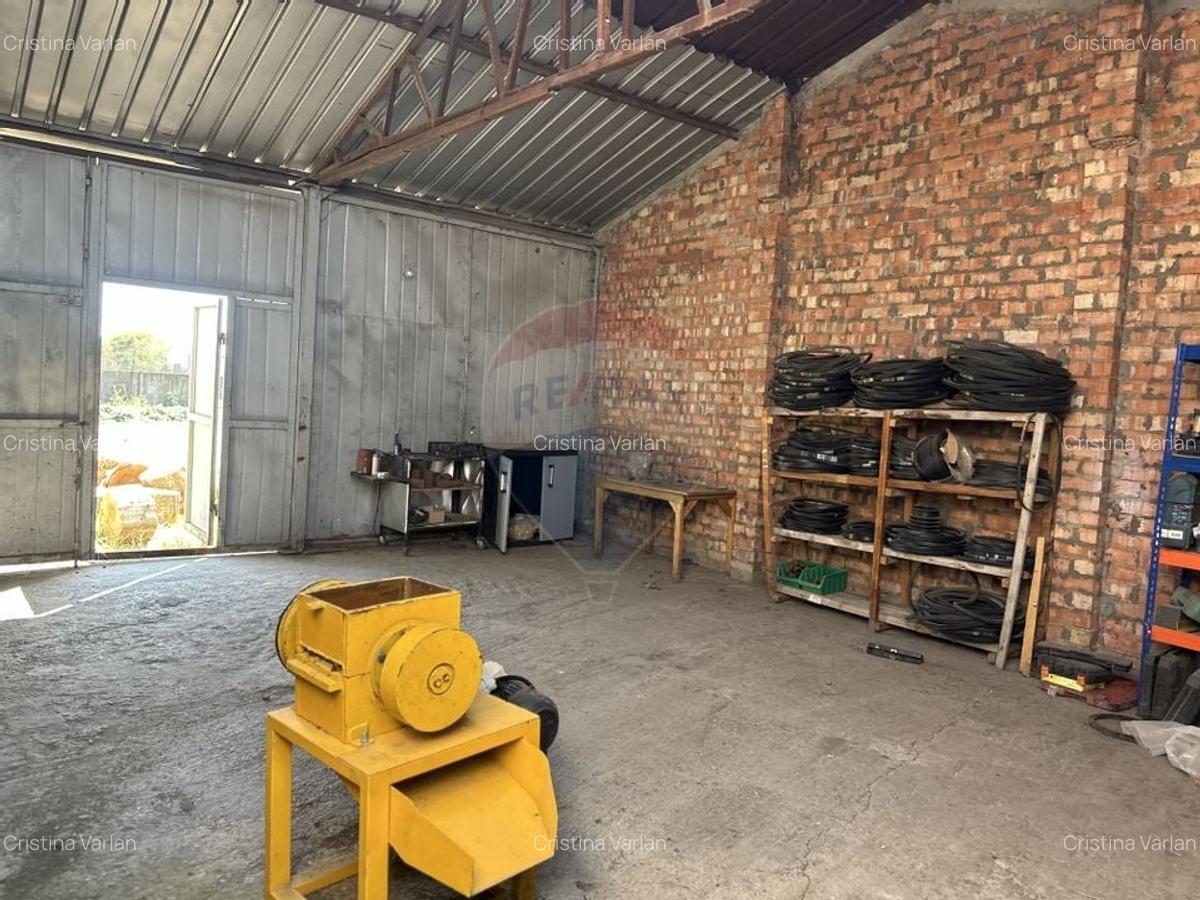 Spatiu industrial hale depozitare si productie - 6