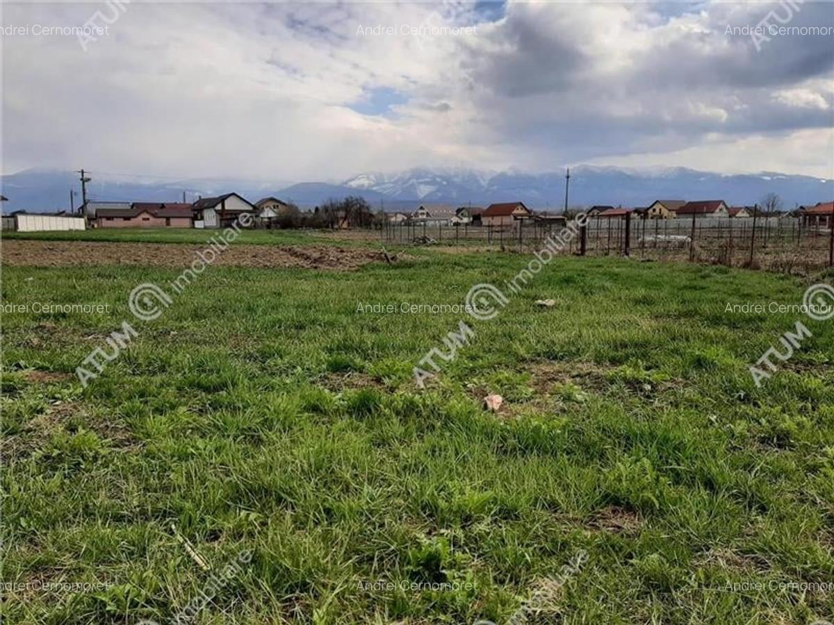 Eren intravilan 1400 mp de vanzare pe Valea Avrigului - 4