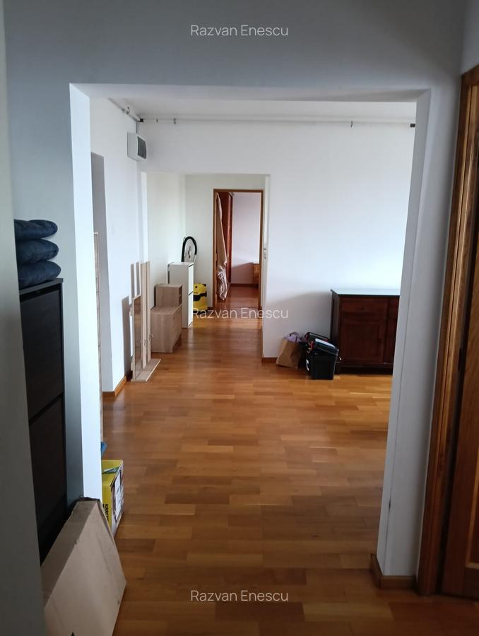 Primul chirias, Vedere superba asupra Parcului Natural Vacaresti - 4