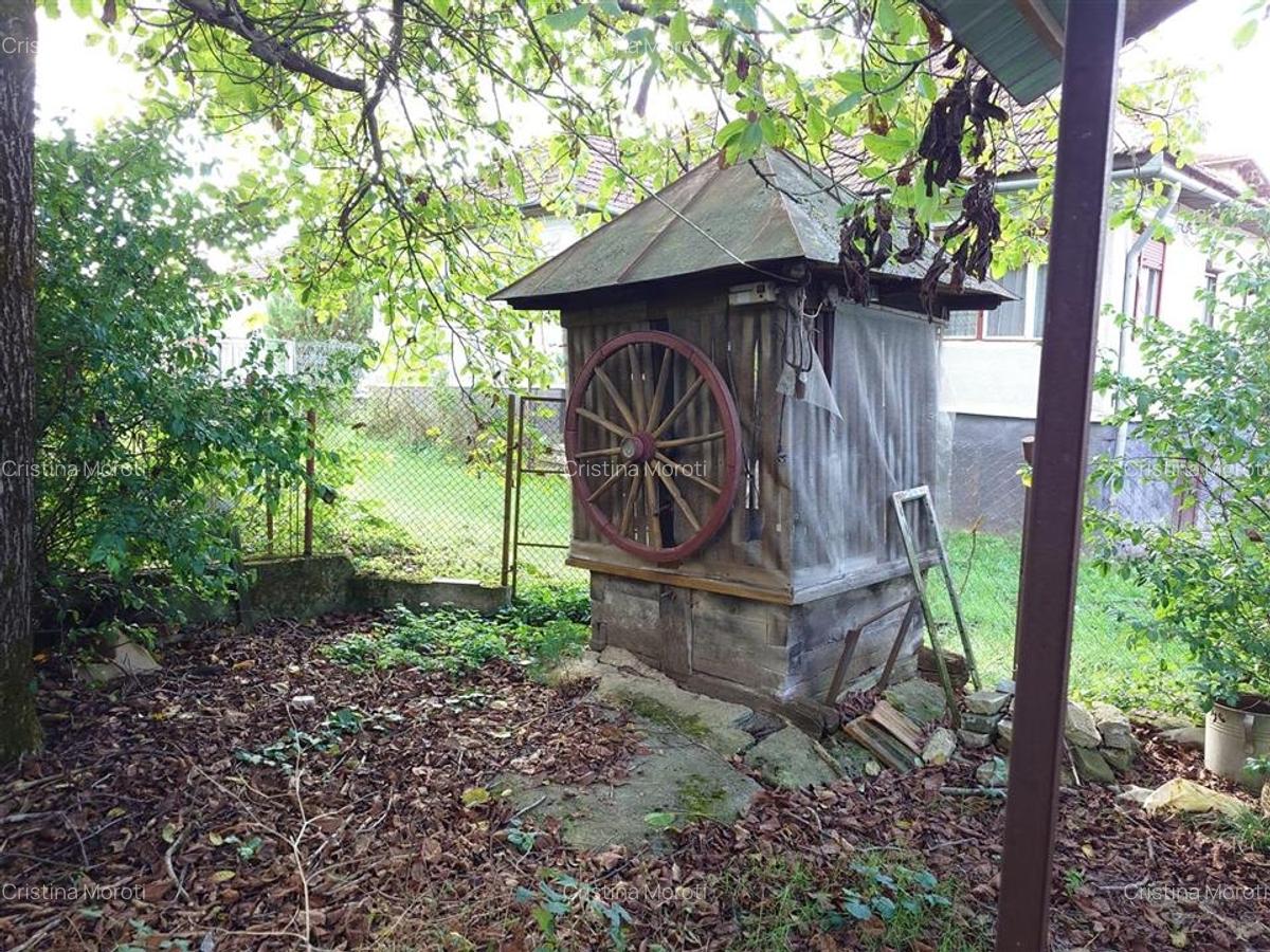 Casa cu aer nobil in Baia de Cris - 18