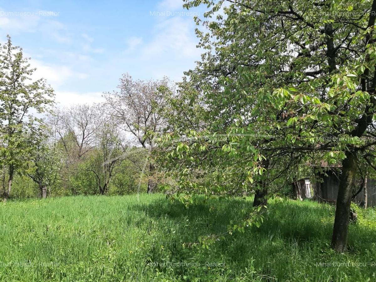 Teren intravilan de 1740 mp cu constructie in Provita de Sus-PH. Casa gratis! - 3