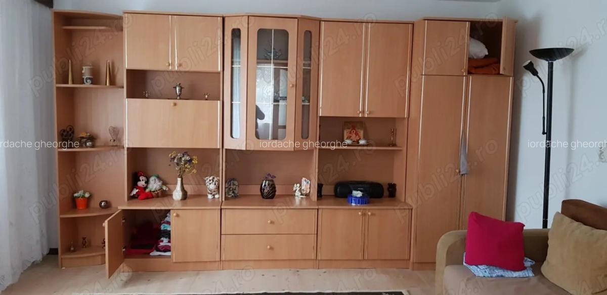 PROPRIETAR, vand casa cu 3 camere in Recas - 3