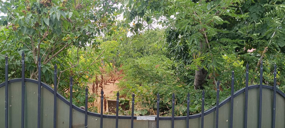 Lumina, teren intravilan între case, toate utilitățile. - 3 Lumina, teren intravilan între case, toate utilitățile. - 3