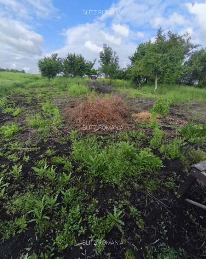 Casa 4 camere, 6000mp teren, zona centrala, Negostina, Siret - 30