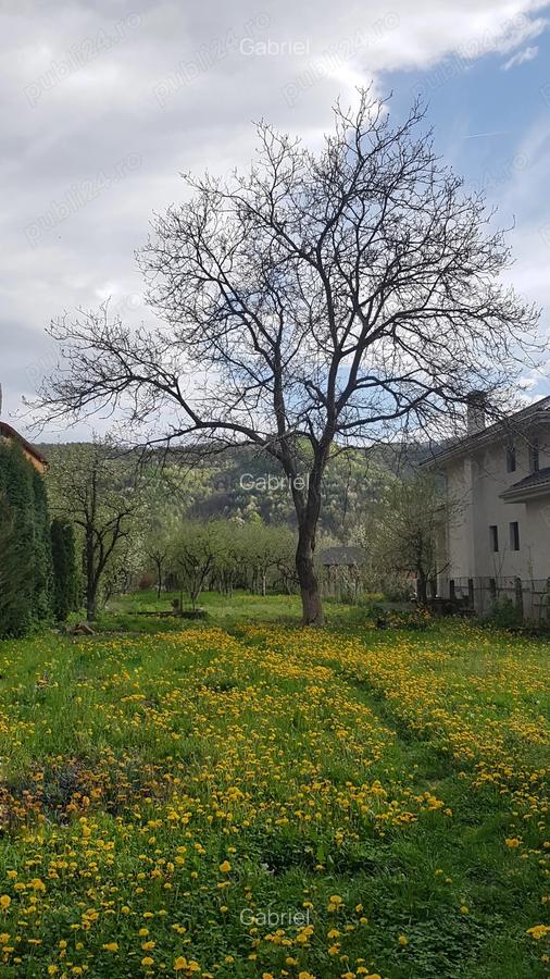 Casa de vanzare, zona centrala, 3 camere, 1477 teren in Sighetu Marmatiei - 10