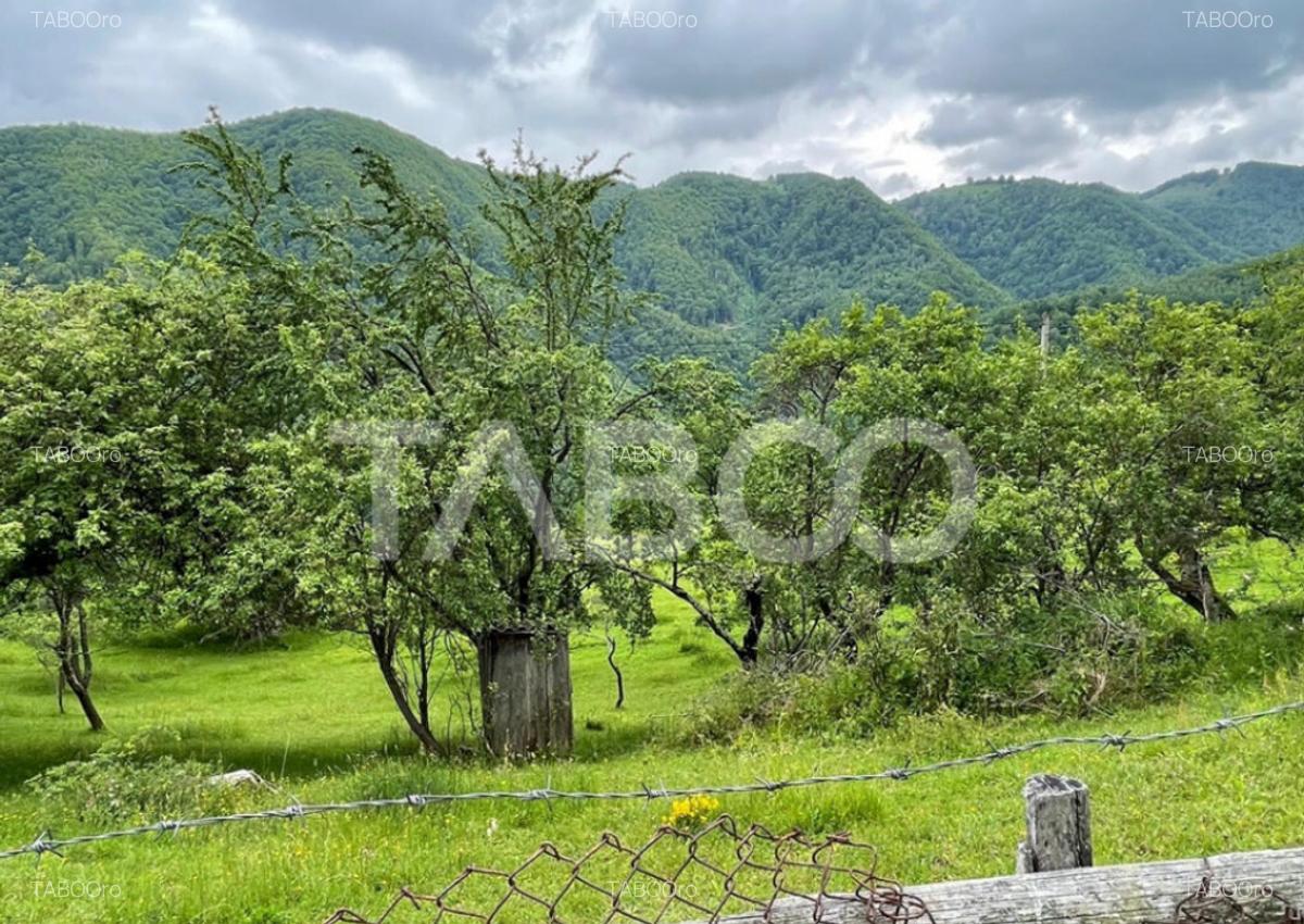 Teren intravilan de vanzare in Martinia de sus - 5