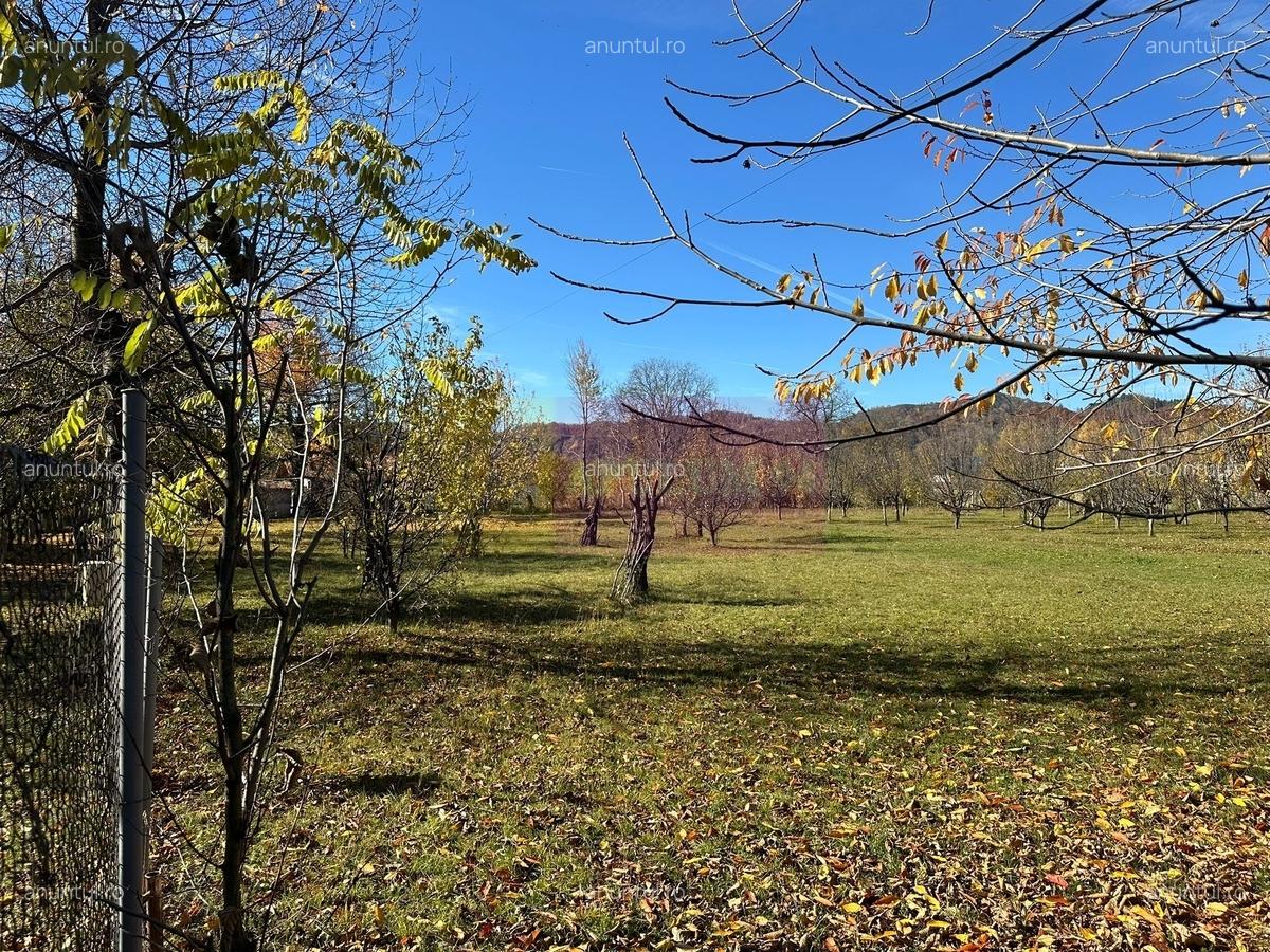 Teren intravilan de vanzare in Brebu (zona foarte linistita) - 6