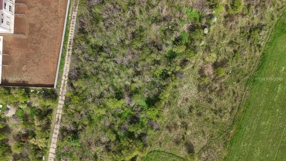 Teren intravilan construibil, zona Metro Voluntari - 4