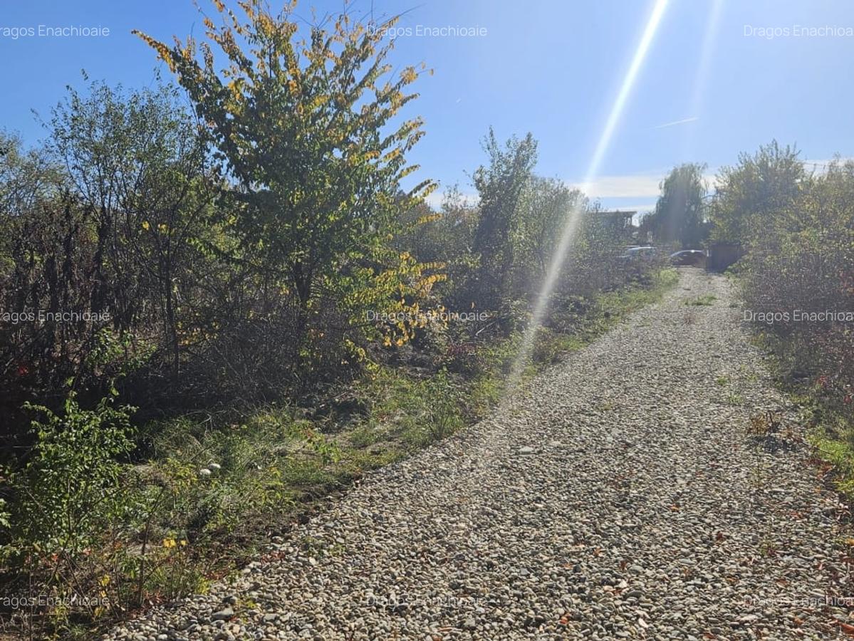 Teren de vanzare in Vladiceasca, 720mp, langa DN1 - Snagov Plaza - 14