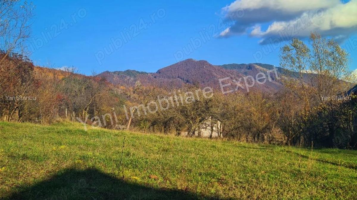 Teren de vanzare in comuna Arefu, jude? Arge?, in apropiere de Transfagara?an. - 15
